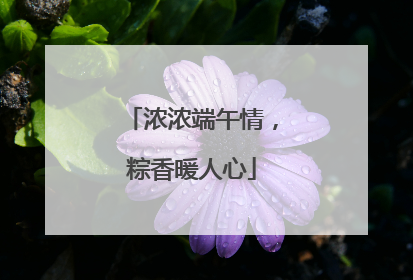 浓浓端午情，粽香暖人心