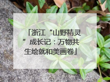 浙江“山野精灵”成长记：万物共生绘就和美画卷