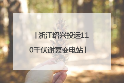 浙江绍兴投运110千伏谢慕变电站