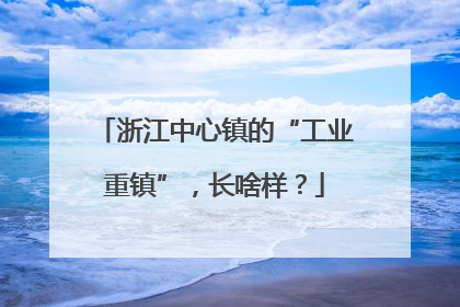 浙江中心镇的“工业重镇”，长啥样？