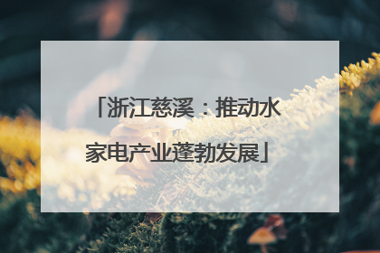 浙江慈溪：推动水家电产业蓬勃发展