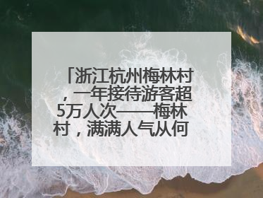 浙江杭州梅林村，一年接待游客超5万人次——梅林村，满满人气从何来（经济新方位·农村消费观察）