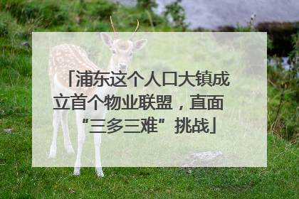 浦东这个人口大镇成立首个物业联盟，直面“三多三难”挑战