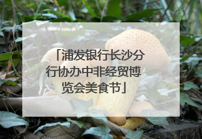 浦发银行长沙分行协办中非经贸博览会美食节