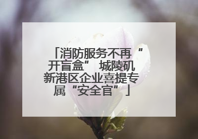 消防服务不再“开盲盒” 城陵矶新港区企业喜提专属“安全官”
