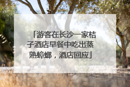 游客在长沙一家桔子酒店早餐中吃出蒸熟蟑螂，酒店回应