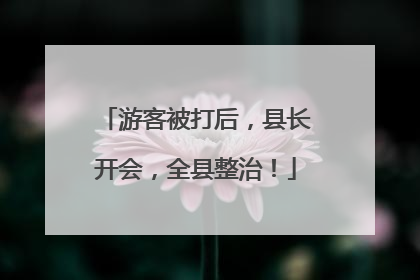 游客被打后，县长开会，全县整治！