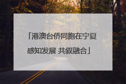 港澳台侨同胞在宁夏感知发展 共叙融合