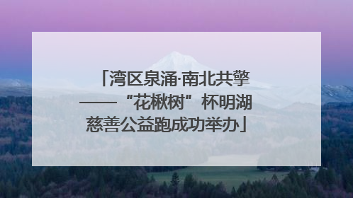 湾区泉涌·南北共擎——“花楸树”杯明湖慈善公益跑成功举办