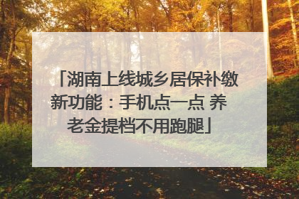 湖南上线城乡居保补缴新功能：手机点一点 养老金提档不用跑腿
