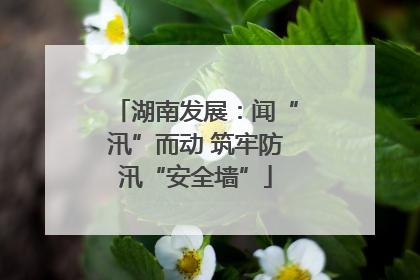 湖南发展：闻“汛”而动 筑牢防汛“安全墙”