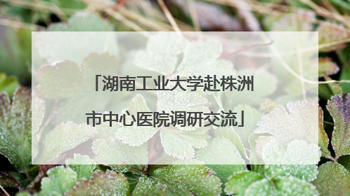 湖南工业大学赴株洲市中心医院调研交流