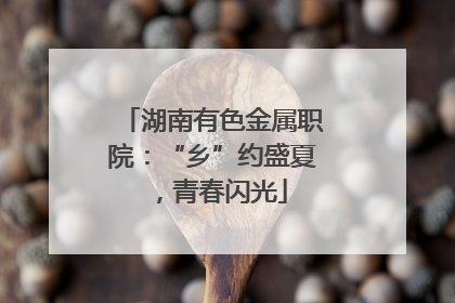 湖南有色金属职院：“乡”约盛夏，青春闪光