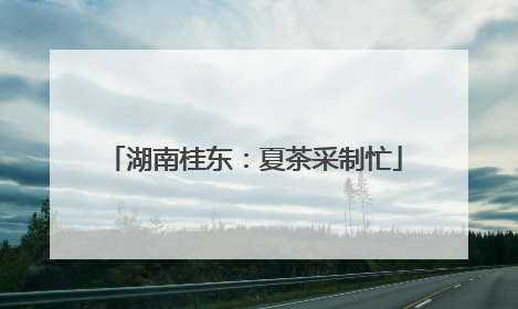 湖南桂东：夏茶采制忙