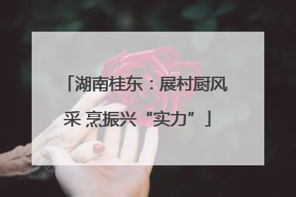 湖南桂东：展村厨风采 烹振兴“实力”