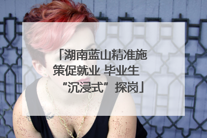 湖南蓝山精准施策促就业 毕业生“沉浸式”探岗