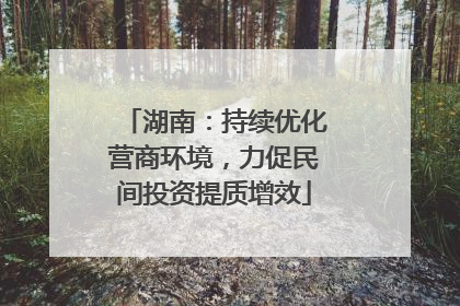 湖南：持续优化营商环境，力促民间投资提质增效