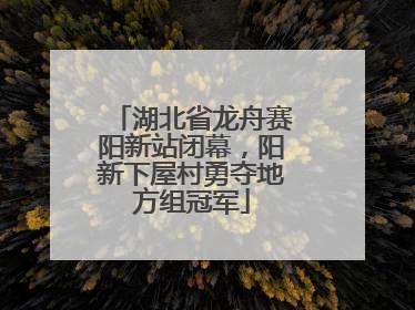湖北省龙舟赛阳新站闭幕，阳新下屋村勇夺地方组冠军