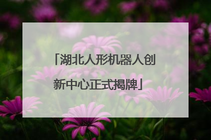 湖北人形机器人创新中心正式揭牌