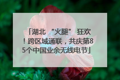 湖北 “火腿” 狂欢！跨区域通联，共庆第85个中国业余无线电节