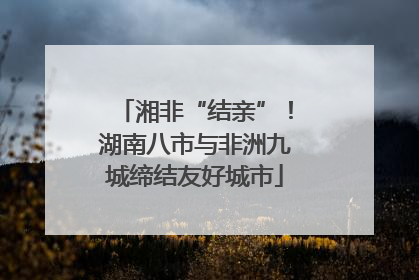 湘非“结亲”！湖南八市与非洲九城缔结友好城市
