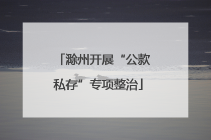 滁州开展“公款私存”专项整治