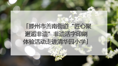 滕州市善南街道“匠心聚 邂逅非遗”非遗活字印刷体验活动走进清华园小学