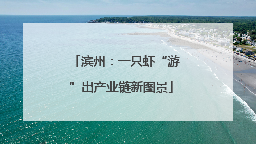 滨州：一只虾“游”出产业链新图景