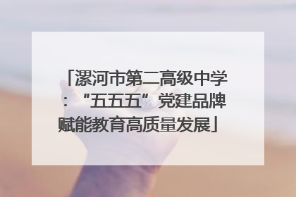 漯河市第二高级中学：“五五五”党建品牌赋能教育高质量发展