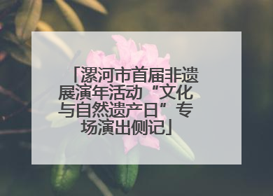 漯河市首届非遗展演年活动“文化与自然遗产日”专场演出侧记