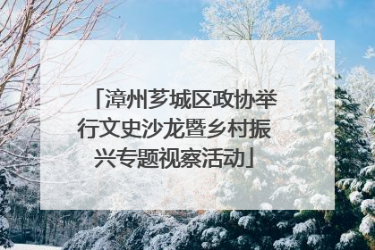 漳州芗城区政协举行文史沙龙暨乡村振兴专题视察活动
