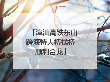 漳汕高铁东山跨海特大桥栈桥顺利合龙