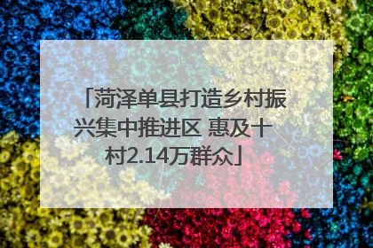 菏泽单县打造乡村振兴集中推进区 惠及十村2.14万群众