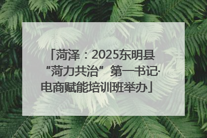 菏泽：2025东明县“菏力共治”第一书记·电商赋能培训班举办