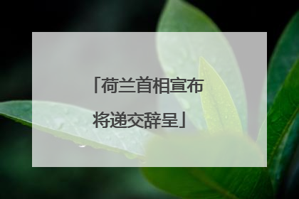 荷兰首相宣布将递交辞呈
