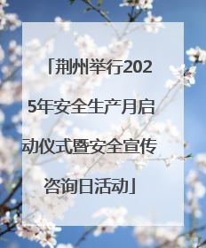 荆州举行2025年安全生产月启动仪式暨安全宣传咨询日活动
