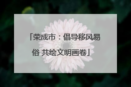 荣成市：倡导移风易俗 共绘文明画卷