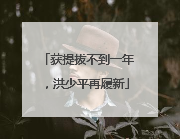 获提拔不到一年，洪少平再履新
