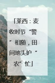 莱西：麦收时节“警”相随，田间地头护“农”忙