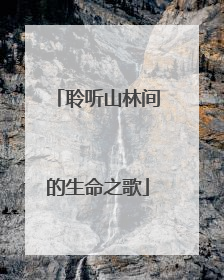 聆听山林间的生命之歌