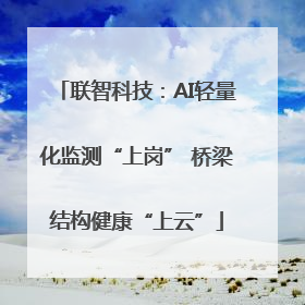 联智科技：AI轻量化监测“上岗” 桥梁结构健康“上云”