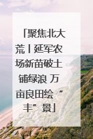 聚焦北大荒丨延军农场新苗破土铺绿浪 万亩良田绘“丰”景