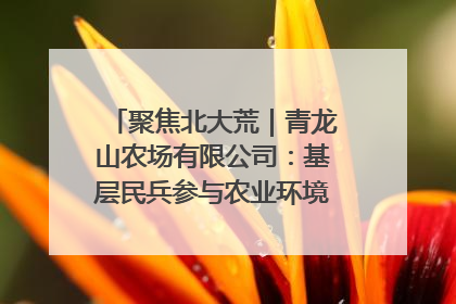 聚焦北大荒｜青龙山农场有限公司：基层民兵参与农业环境综合治理显效
