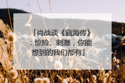 肖战谈《藏海传》：惊险、刺激，你能想到的我们都有