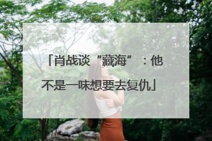 肖战谈“藏海”：他不是一味想要去复仇