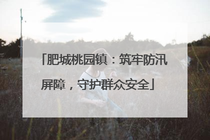 肥城桃园镇：筑牢防汛屏障，守护群众安全