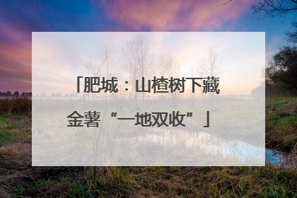 肥城：山楂树下藏金薯“一地双收”