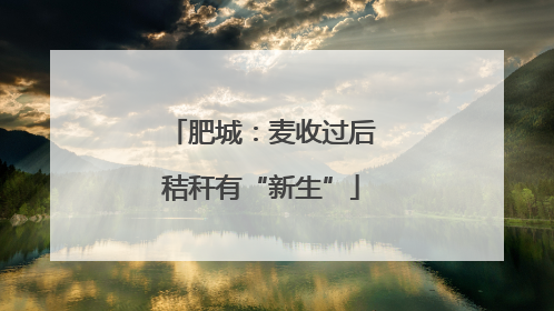肥城：麦收过后秸秆有“新生”