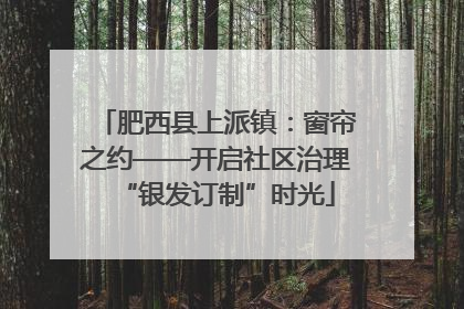 肥西县上派镇：窗帘之约——开启社区治理“银发订制”时光