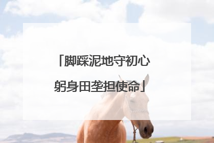 脚踩泥地守初心 躬身田垄担使命